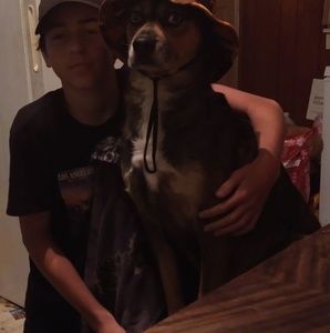 Meet your Posher, Alicia